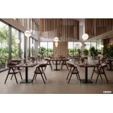 Holz Restaurantstuhl FUTURA Smoky